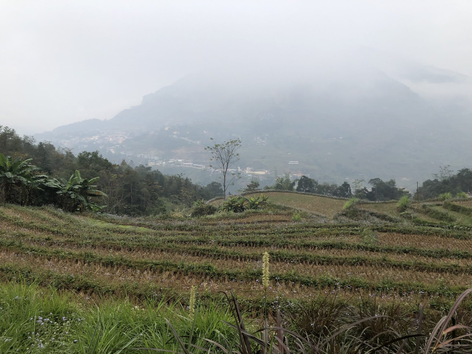 6-Day Hoang Su Phi Bike Tour: Northern Vietnam's Terraced Rice Field Adventure